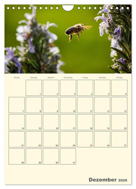 Produktbild: Bienen im Naturgarten (Wandkalender 2026 DIN A4 hoch), CALVENDO Monatskalender