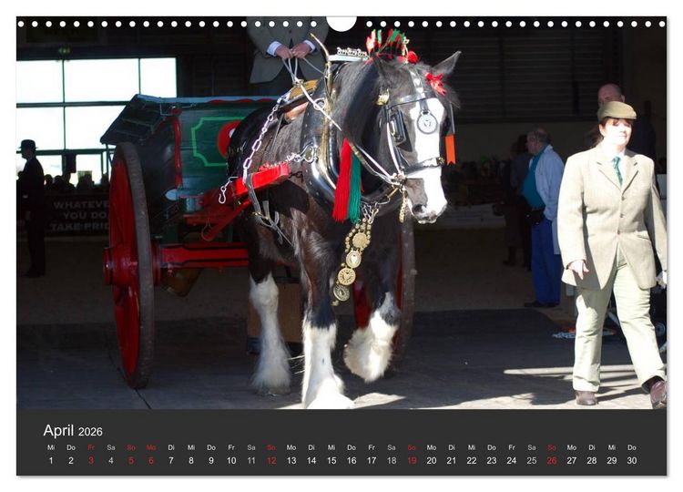 Produktbild: Shire Horse &bull; Prunkvolle Giganten (Wandkalender 2026 DIN A3 quer), CALVENDO Monatskalender