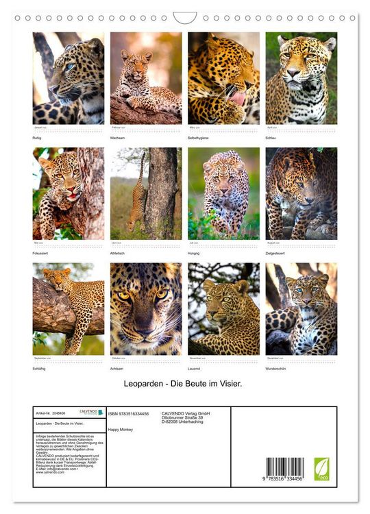 Produktbild: Leoparden - Die Beute im Visier. (Wandkalender 2026 DIN A3 hoch), CALVENDO Monatskalender