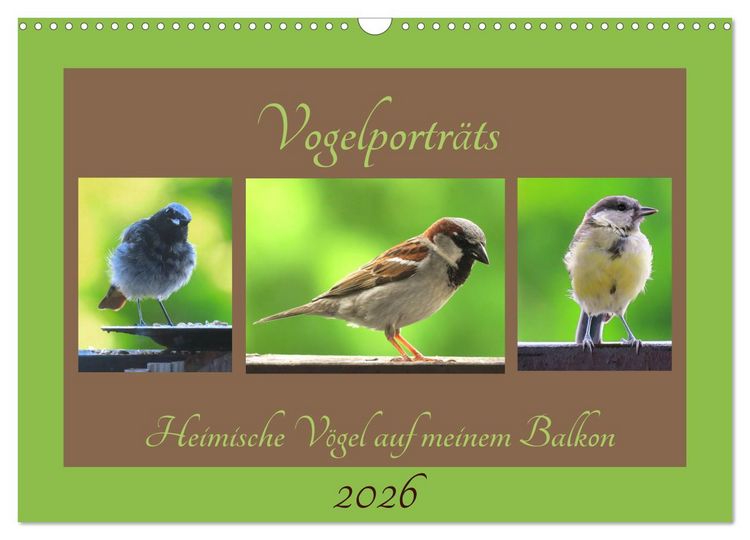 Produktbild: Vogelportr&auml;ts - Heimische V&ouml;gel auf meinem Balkon (Wandkalender 2026 DIN A3 quer), CALVENDO Monatskalender