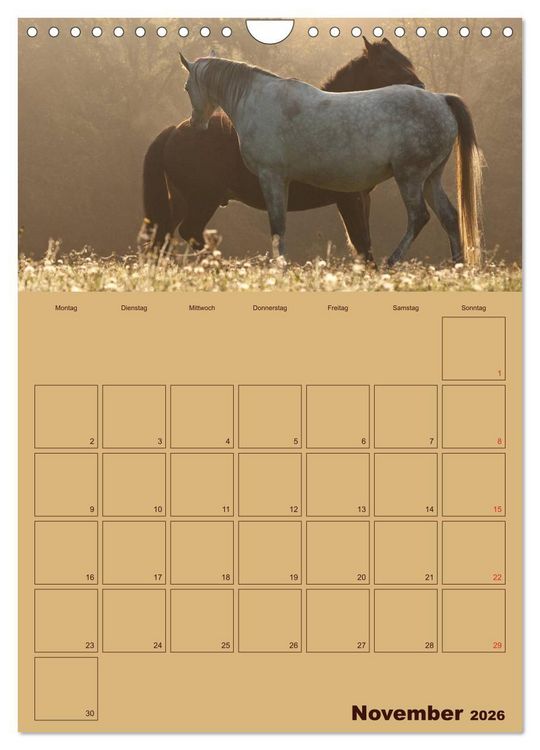 Produktbild: Pferde Gute Freunde (Wandkalender 2026 DIN A4 hoch), CALVENDO Monatskalender