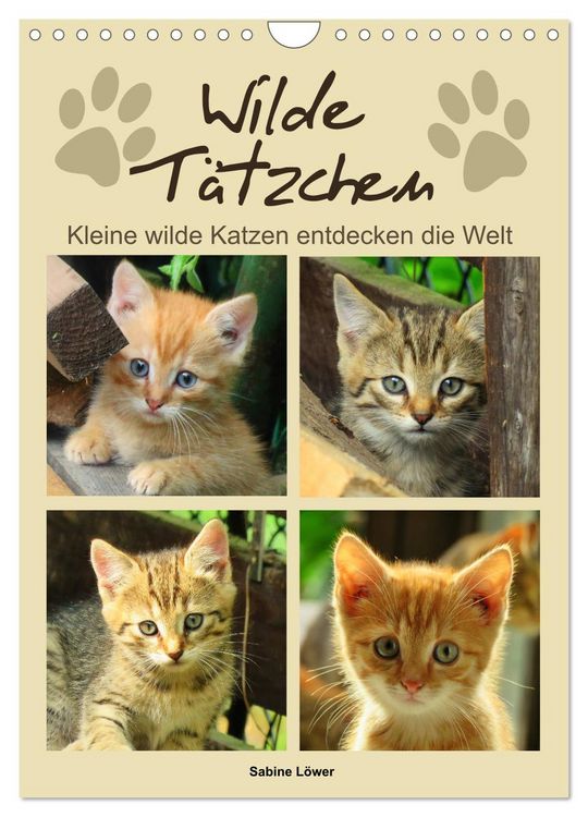 Produktbild: Wilde T&auml;tzchen, kleine wilde Katzen entdecken die Welt (Wandkalender 2026 DIN A4 hoch), CALVENDO Monatskalender