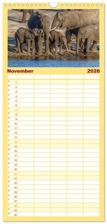 Produktbild: Familienplaner 2026 - Afrikas Tierwelt: Elefantenbabys mit 5 Spalten (Wandkalender, 21 x 45 cm) CALVENDO