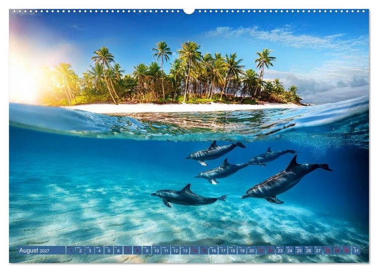 Produktbild: When Dolphins Dance with Us (Wall Calendar 2027 DIN A2 landscape), CALVENDO 12 Month Wall Calendar
