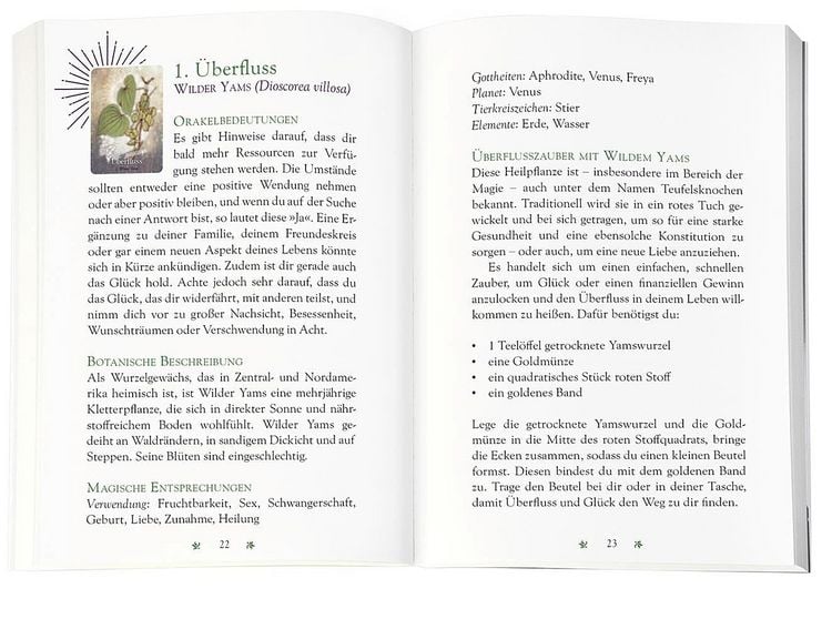 Produktbild: Das magische Orakel der Heilpflanzen