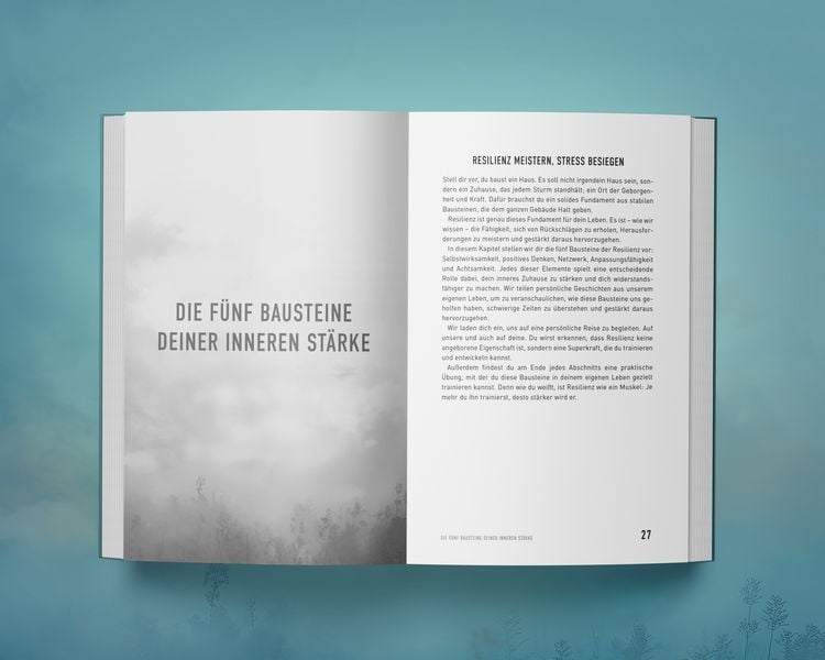 Produktbild: St&auml;rker als der Stress