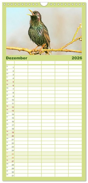 Produktbild: Familienplaner 2026 - Amsel, Fink und Star: Heimische V&ouml;gel mit 5 Spalten (Wandkalender, 21 x 45 cm) CALVENDO