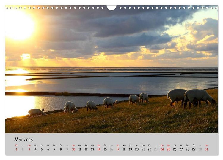 Produktbild: Sehnsucht Natur (Wandkalender 2026 DIN A3 quer), CALVENDO Monatskalender