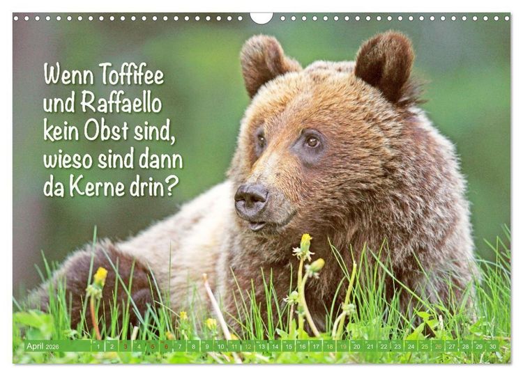 Produktbild: Spa&szlig; mit B&auml;ren: Edition lustige Tiere (Wandkalender 2026 DIN A3 quer), CALVENDO Monatskalender