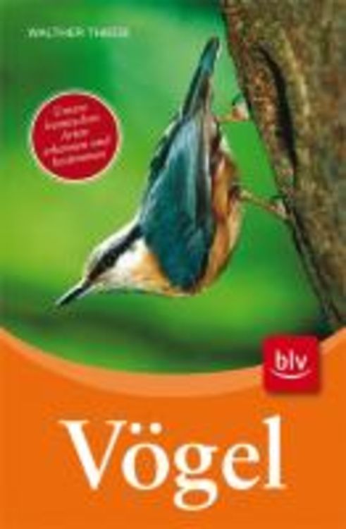 Vögel