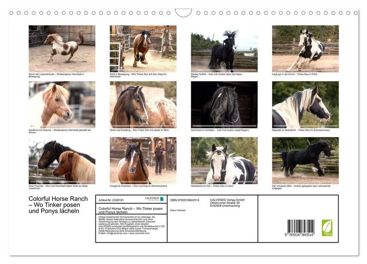 Produktbild: Colorful Horse Ranch &ndash; Wo Tinker posen und Ponys l&auml;cheln (Wandkalender 2027 DIN A3 quer), CALVENDO Monatskalender