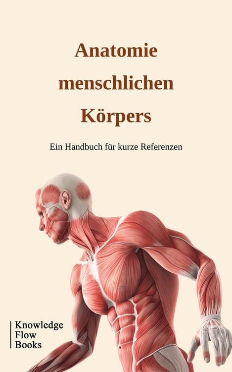 Produktbild: Anatomie menschlichen K&ouml;rpers