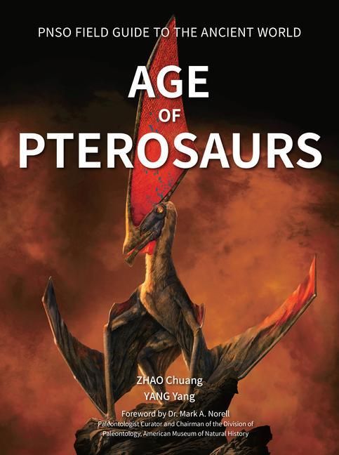 Produktbild: Age of Pterosaurs