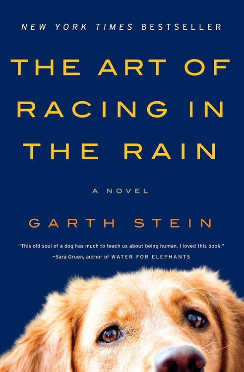 Produktbild: The Art of Racing in the Rain