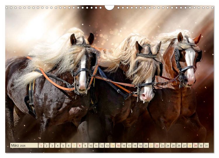 Produktbild: Eleganz und Sch&ouml;nheit - Pferde (Wandkalender 2026 DIN A3 quer), CALVENDO Monatskalender