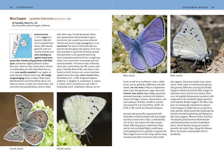 Produktbild: Butterflies of the Pacific Northwest