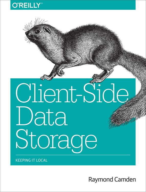 Produktbild: Client-Side Data Storage