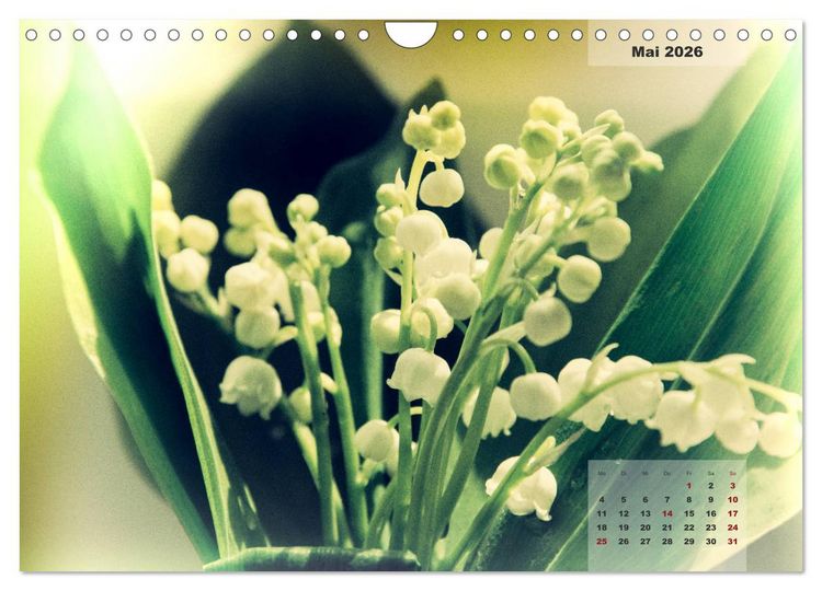 Produktbild: Bl&uuml;ten im Retro-Style (Wandkalender 2026 DIN A4 quer), CALVENDO Monatskalender