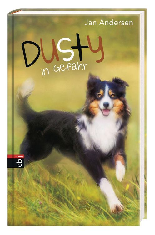 Produktbild: Dusty in Gefahr / Dusty Band 2