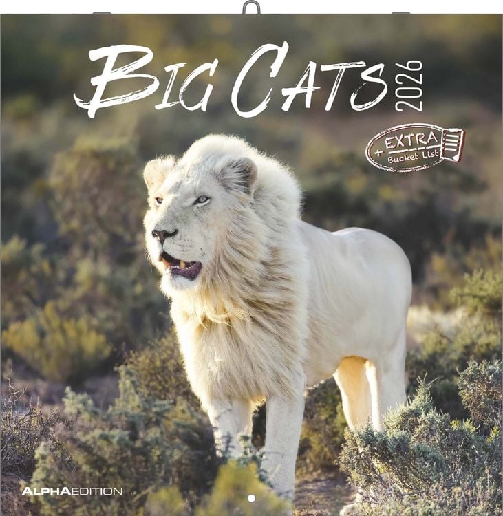 Produktbild: Big Cats 2026 - Broschürenkalender 30x30 cm (30x60 geöffnet) - Kalender mit Platz für Notizen - Big Cats - Bildkalender - Wandplaner - Alpha Edition