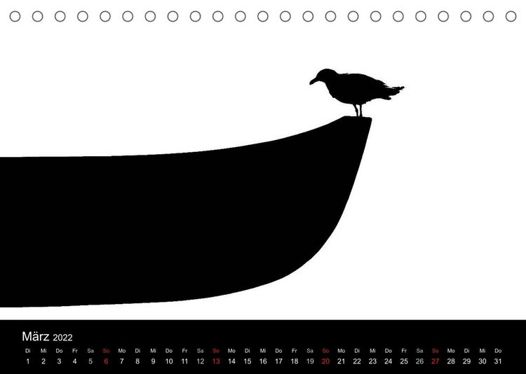 Produktbild: Kieler V&ouml;gel (Tischkalender 2022 DIN A5 quer)