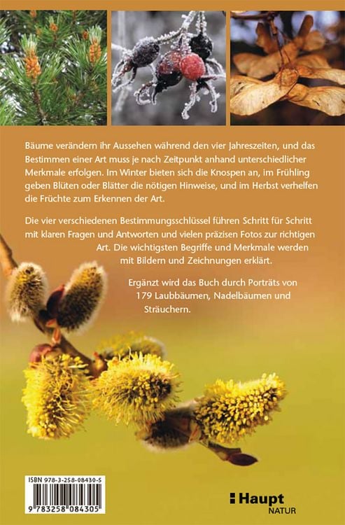 Produktbild: B&auml;ume bestimmen - Knospen, Bl&uuml;ten, Bl&auml;tter, Fr&uuml;chte
