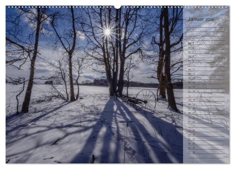 Produktbild: Unser Wald - Magische Sichten in norddeutsche W&auml;lder / Geburtstagskalender (hochwertiger Premium Wandkalender 2026 DIN A2 quer), Kunstdruck in Hochglanz