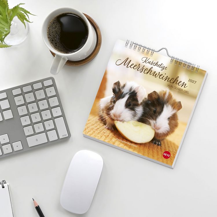 Produktbild: Kuschelige Meerschweinchen Postkartenkalender 2027