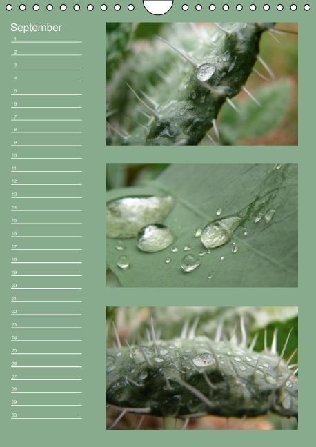 Produktbild: Zauberwelt der Blumen - Eiskristalle & Wasserperlen / Geburtstagskalender (Wandkalender immerw&auml;hrend DIN A4 hoch)