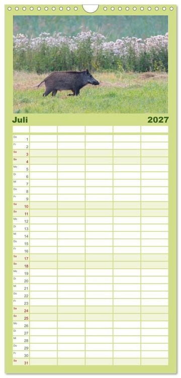 Produktbild: Familienplaner 2027 - Wildschweine &ndash; Wildlife Fotografien mit 5 Spalten (Wandkalender, 21 x 45 cm) CALVENDO