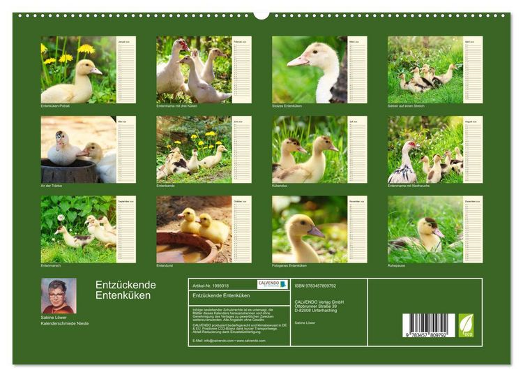 Produktbild: Entz&uuml;ckende Entenk&uuml;ken (hochwertiger Premium Wandkalender 2026 DIN A2 quer), Kunstdruck in Hochglanz