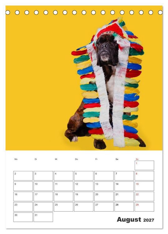 Produktbild: colorful world of boxer 2027 (Tischkalender 2027 DIN A5 hoch), CALVENDO Monatskalender