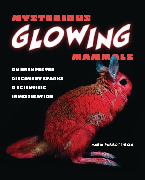 Produktbild: Mysterious Glowing Mammals