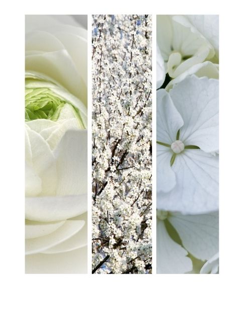 Produktbild: CALVENDO Puzzle Natural Trios - Wei&szlig;e Bl&uuml;ten | 1000 Teile Lege-Gr&ouml;&szlig;e 64x48cm Foto-Puzzle f&uuml;r gl&uuml;ckliche Stunden