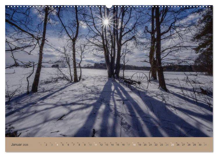 Produktbild: Unser Wald - Magische Sichten in norddeutsche W&auml;lder (Wandkalender 2026 DIN A2 quer), CALVENDO Monatskalender