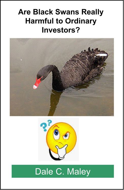 Produktbild: Are Black Swans Really Harmful to Ordinary Investors?