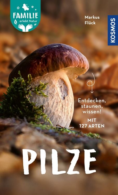 Produktbild: Pilze