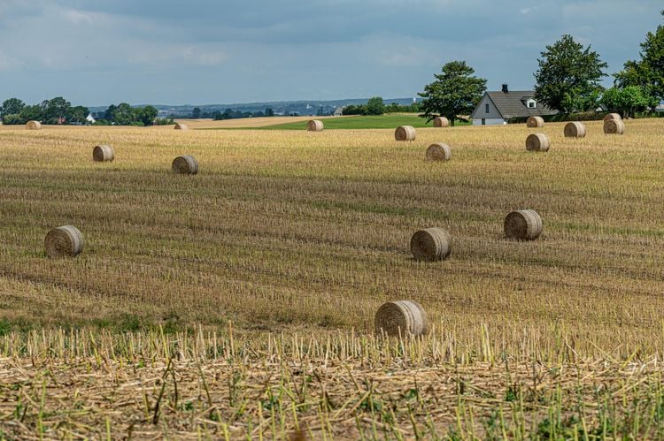 Produktbild: Sk&aring;ne