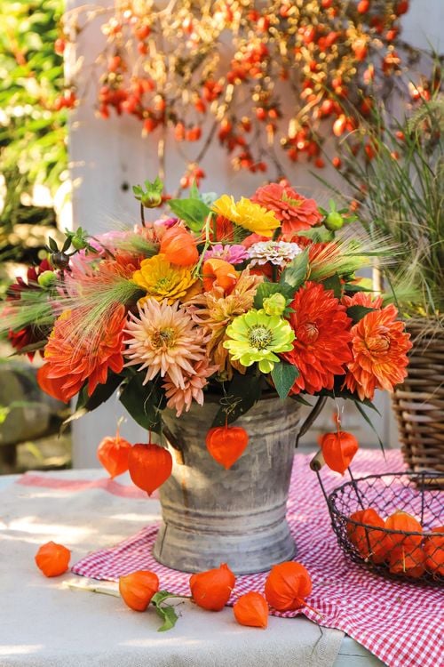 Produktbild: Herbst