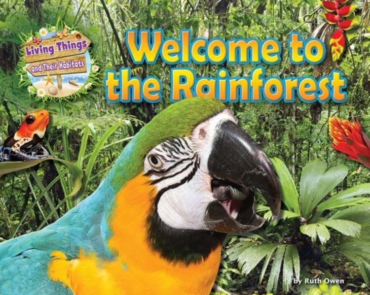 Produktbild: Welcome to the Rainforest