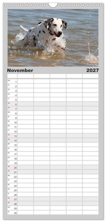 Produktbild: Familienplaner 2027 - Gefleckte Freunde - Hunderasse Dalmatiner mit 5 Spalten (Wandkalender, 21 x 45 cm) CALVENDO