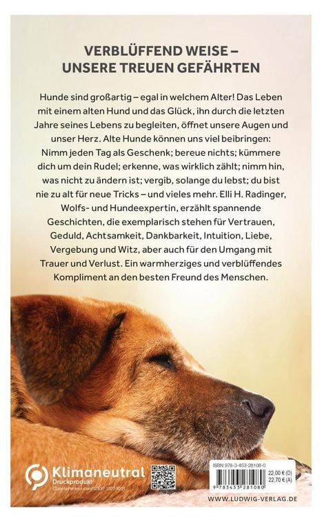 Produktbild: Die Weisheit alter Hunde
