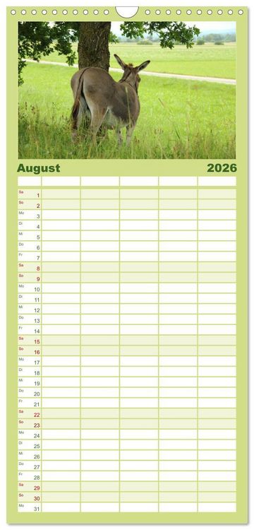 Produktbild: Familienplaner 2026 - Esel - liebenswerte Langohren mit 5 Spalten (Wandkalender, 21 x 45 cm) CALVENDO