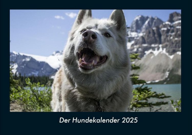 Produktbild: Der Hundekalender 2025 Fotokalender DIN A4