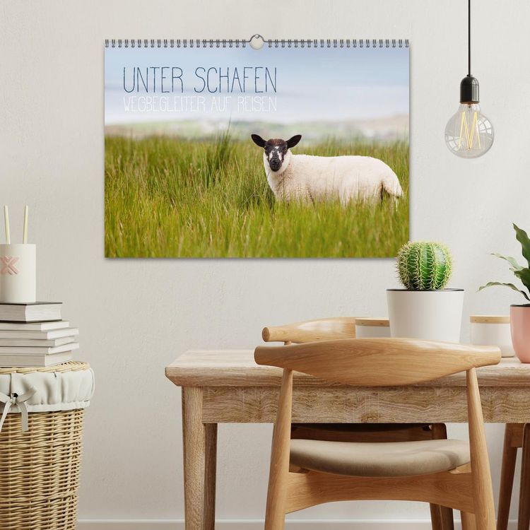Produktbild: Unter Schafen - Wegbegleiter auf Reisen (Wandkalender 2026 DIN A3 quer), CALVENDO Monatskalender