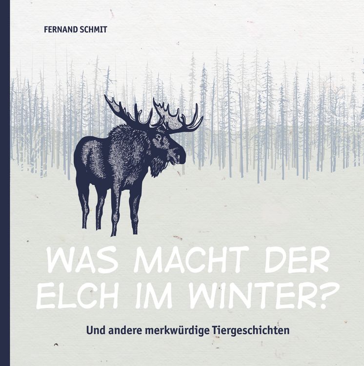 Produktbild: Was macht der Elch im Winter?