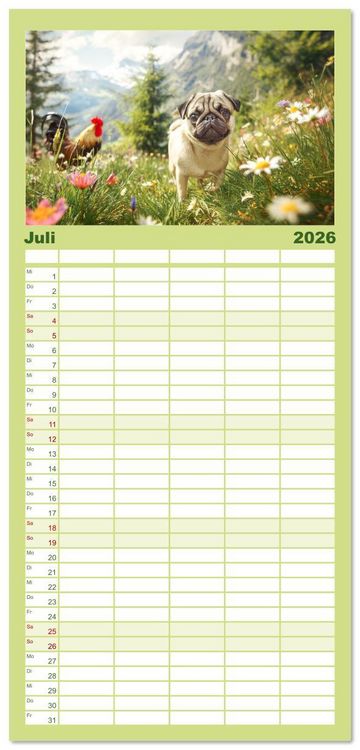 Produktbild: Familienplaner 2026 - Mops trifft Berglust. Fidele Gipfelst&uuml;rmer im H&ouml;henrausch mit 5 Spalten (Wandkalender, 21 x 45 cm) CALVENDO