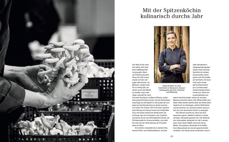 Produktbild: Into the Woods: Pilze suchen und Gl&uuml;ck finden