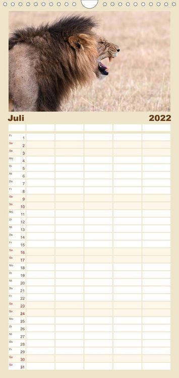 Produktbild: L&ouml;wen - Raubkatzen Afrikas - Familienplaner hoch (Wandkalender 2022 , 21 cm x 45 cm, hoch)