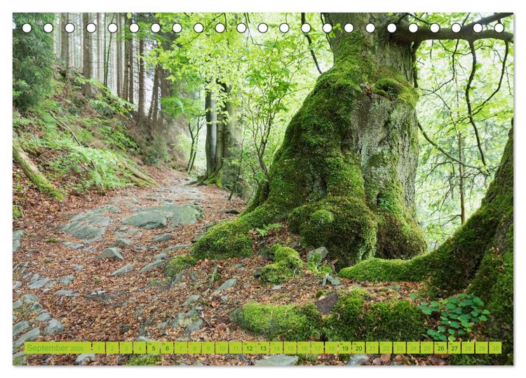 Produktbild: Eifel Sehnsucht (Tischkalender 2026 DIN A5 quer), CALVENDO Monatskalender